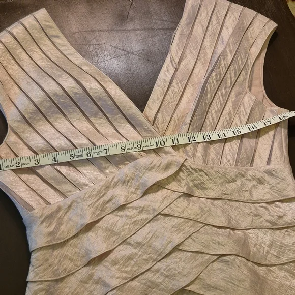 Adrianna Papell Sz 12. Blush Pink With A Shimmer To It.(1659) - Picture 8 of 11